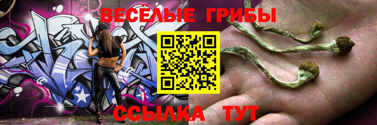 Псилоцибиновые грибы Cubensis Белово