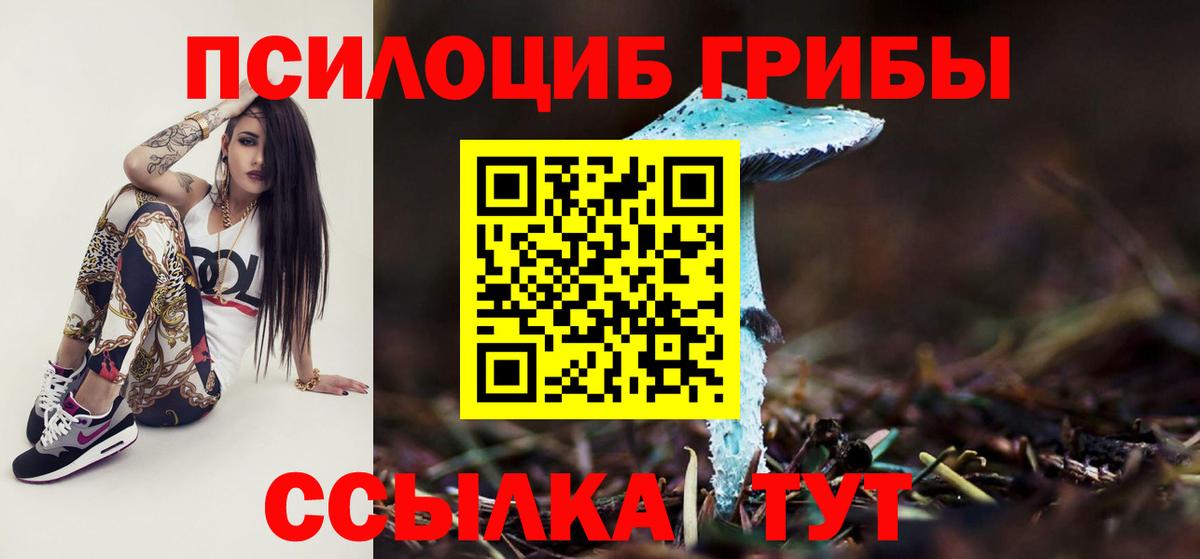 Псилоцибиновые грибы MAGIC MUSHROOMS  Вход с VPN  сколько стоит  Галлюциногенные грибы прущие грибы  Белово 
